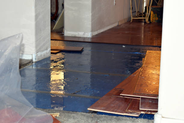 Professional Basement Water Removal technician working in Ashley, MI