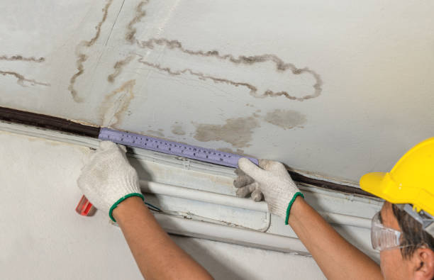 Reliable Basement Water Removal contractor in Ashley, MI by Water Damage Irwin